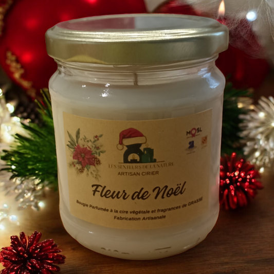 Bougie fleur de Noël